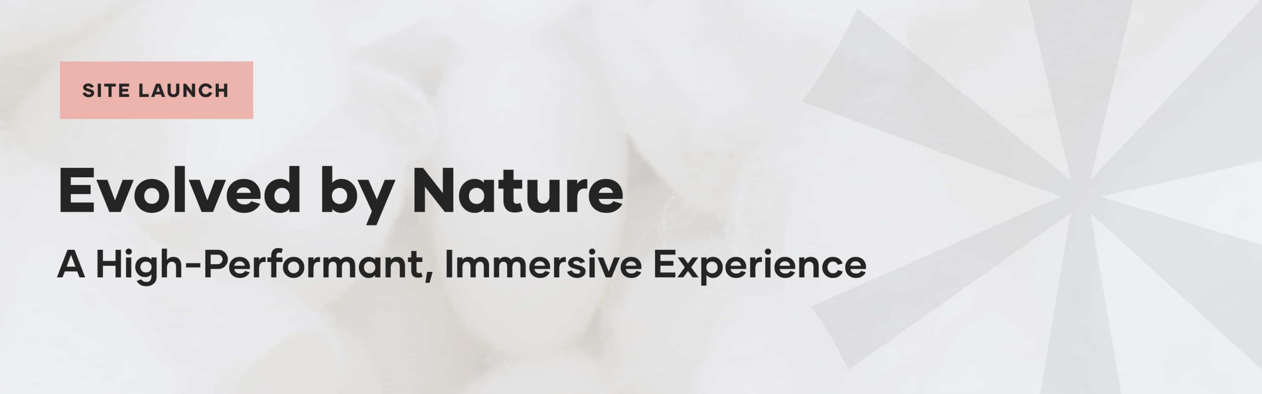 Site Launch: EvolvedByNature.com – A High-Performant, Immersive Experience